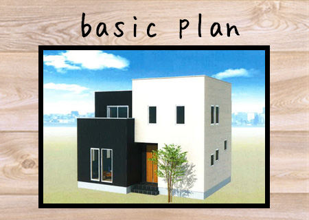 basic plan